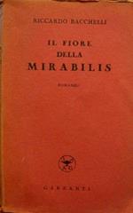 Il fiore della mirabilis