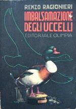 Imbalsamazione degli uccelli