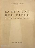 La diagnosi del cielo di un veterinario