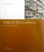 Terra di Vallecamonica. Percorsi nella storia e nell'arte