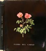 Flora del Carso