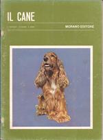 Il cane