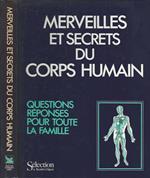 Merveilles et secrets du corps humain questions reponses pour toute la famille