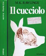 Il Cucciolo