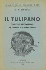 Il tulipano. Varietà. e coltivazione in caraffe e in piena terra