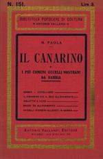 Il canarino e i più comuni uccelli nostrani da gabbia