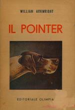 Il pointer e i suoi predecessori. Seconda edizione