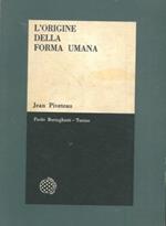 L' origine della forma umana