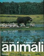 Il mondo degli animali