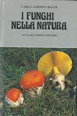 I funghi nella natura