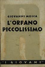 L' orfano piccolissimo. Tra il romanzo e la favola