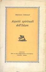 Aspetti spirituali dell'Islam