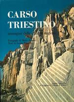 Carso triestino. Immagini delle quattro stagioni