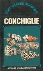 Conchiglie