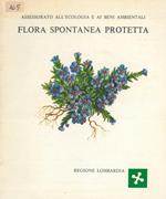 Flora spontanea protetta