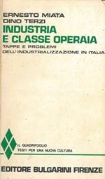 Industria e classe operaia. Tappe e problemi dell'industrializzazione in Italia