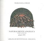 Mariangela Cerasi. Naturalmente Angelica. Opere materiche. Catalogo della mostra, Monteveglio (BO), 1993
