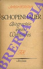 Schopenauer. Biographie eines Weltbildes