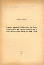 Su alcuni elementi fitoplanctonici (Peridinee, Silicoccales ed Heterococcales) rari o nuovi raccolti nelle acque del mare Ligure