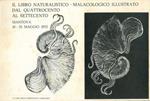 Il libro naturalistico-malacologico illustrato dal '400 al '700
