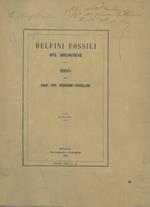 Delfini fossili del bolognese. Memoria preceduta da un cenno geologico sui dintorni di S. Lorenzo in collina