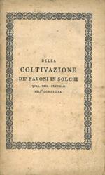 Della coltivazione dé navoni in solchi qual essa praticasi nell'Inghilterra considerata particolarmente qual concio e maggese aggiuntovi quella dé pomi di terra e delle fave e piselli