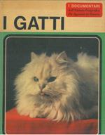 I gatti