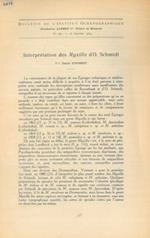 Interprétation des Myxilla d'O. Schmidt