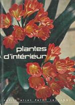 Plantes d'intérieur