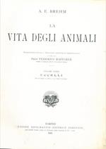 La vita degli animali. Trad. sulla 4a ed. originale di F. Raffaele. Vol. I. Invertebrati. II. Pesci, Anfibi, Rettili. III. Uccelli. IV e V. Mammiferi