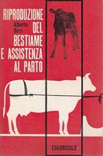 Riproduzione Del Bestiame E Assistenza Al Parto