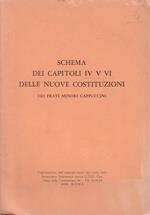 Schema Capitoli Iv V Vi Nuove Costituzioni