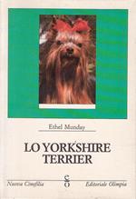 Lo Yorkshire Terrier