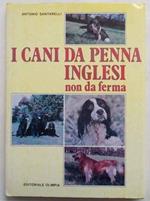 I cani da penna inglesi non da ferma. (Spaniels e Retrievers)