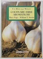 Coltivare erbe aromatiche di utilizzo in cucina