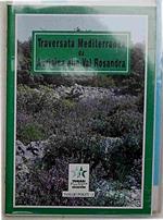 Traversata mediterranea da Aurisina alla Val Rosandra