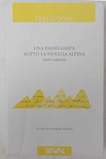 Una passeggiata sotto la pioggia alpina