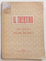 Il Trentino. Guida pratica