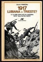 1917 Lubiana o Trieste? Le ultime spallate di Cadorna viste 