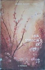 Una striscia di cielo. Poesie