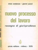 Nuovo processo del lavoro