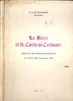 La Rosa di S. Carlo ai Catinari