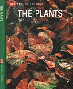 The plants