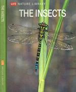 The insects