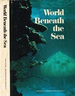 World beneath the sea
