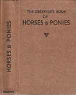 Horses and ponies