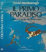 Il primo Paradiso