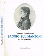 Saggio sul Manzoni. La giovinezza