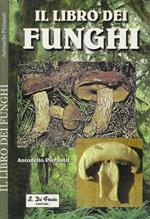 Il libro dei funghi