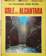 Gole dell'Alcantara. Le meraviglie della Sicilia